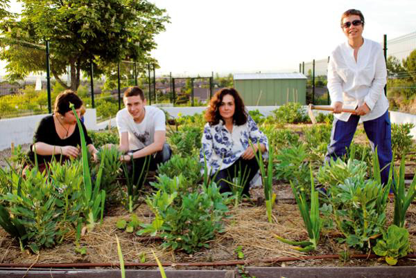 curso para aprender a cultivar