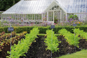 Cursos de jardinería