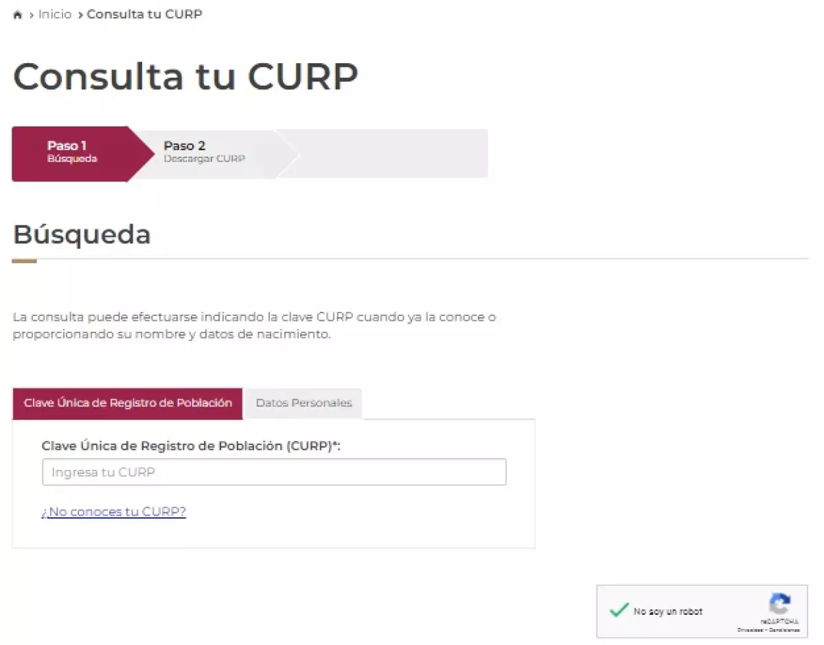 todo sobre consultar el CURP